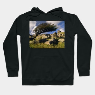 Windswept Tree on Stowes Hill Hoodie